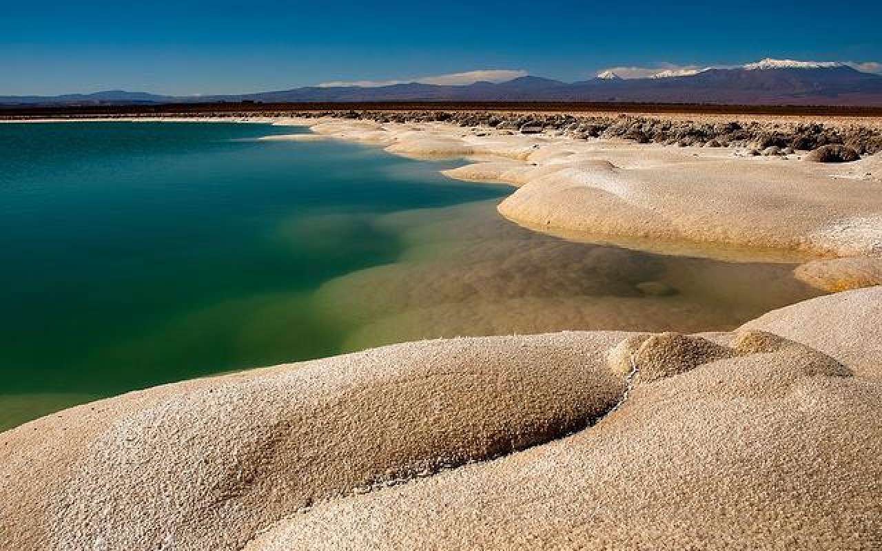 Laguna Cejar