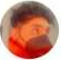 Joel